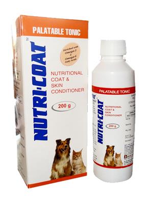 pet care services in chennai